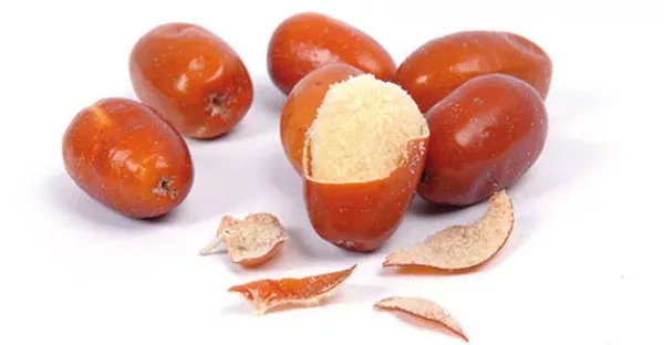 Taze İğde ( Yeni Mahsul )