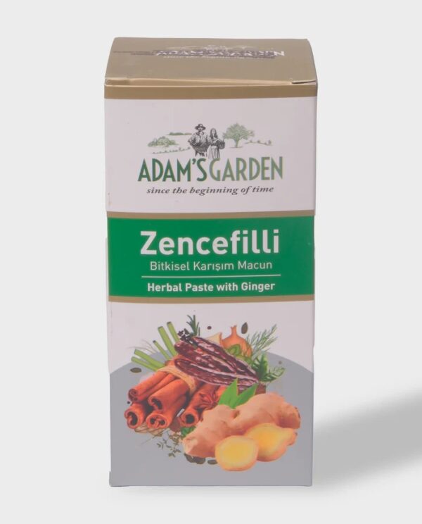 Gemberpasta kruidenpasta met gember( 100% natuurlijk ) 380 g