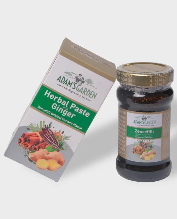 Gemberpasta kruidenpasta met gember( 100% natuurlijk ) 380 g - Afbeelding 2